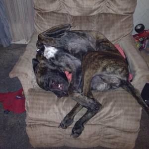 Meet your Posher, Kyle